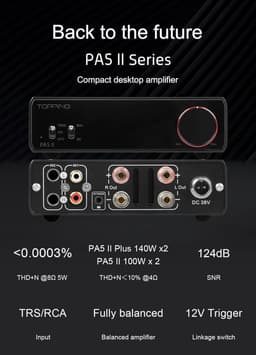 100W x 2 Klasse D Eindversterker met Balans en TRS/RCA Invoer voor Thuis Audio — thumbnail 3
