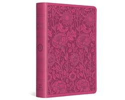 ESV Large Print Compact Bible