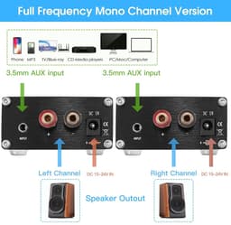 RFWR® Mini Vermogensversterker 100W voor Subwoofer - HiFi Audio Amp — thumbnail 4