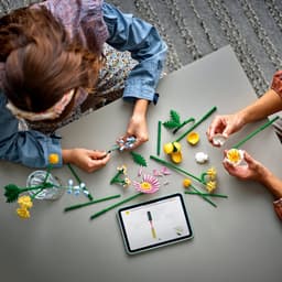 LEGO Botanical Collection - Klein zomers boeket Constructiespeelgoed — thumbnail 5