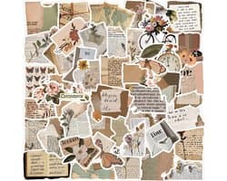 Meer Leuks - Vintage stickers - 50 stuks - Bullet Journal Stickers - Planner Agenda Stickers - Scrapbook stickers - Laptop stickers - Telefoon stickers - Bujo stickers - Hobbystickers