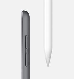 Apple iPad Mini (2019) - 7.9 inch - WiFi - 256GB - Spacegrijs - 5e generatie — thumbnail 5
