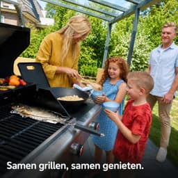 Landmann Triton PTS 3.1 Gasbarbecue - 4 branders - zilver — thumbnail 4