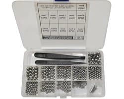 600 Stuks RVS Kogellagers 2-8 mm Mixballen voor Reiniging en Classificatie met 2 Pincetten