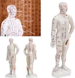 Dailygoods - Dailygoody - Lichaamsacupunctuurmodel - Professioneel meridiaanpuntenmodel - Onderwijs en massage - 33 x 16 x 6 cm - Acupunctuurmodel - Geschikt voor — thumbnail 2