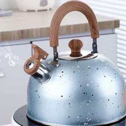 Vintage Fluitketel van RVS, Retro Theepot met Fluitfunctie, Duurzame Waterkoker voor Perfecte Thee en Koffie — thumbnail 4