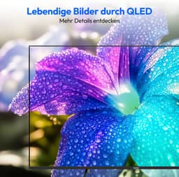 MEDION 108 cm (43 Zoll) QLED Fernseher (Smart-TV, Dolby Vision HDR, HBO Max, MagentaTV, Prime Video, Disney+, DAZN, Paramount+, Dolby Atmos, VIDAA Store, PVR, Bluetooth, MD 843602) — thumbnail 8