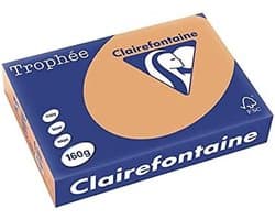 Hoogwaardig 160 g/m² Inkjet en Kopieerpapier A4 voor Kleur en Zwart-wit