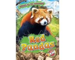 Animals of the Mountains - Red Pandas