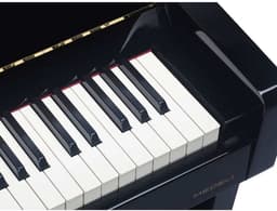 Medeli UP805/GBK Digitale upright piano hoogglans zwart — thumbnail 5