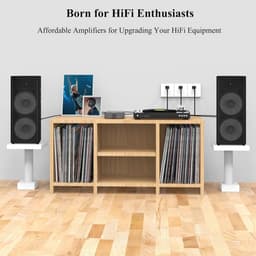 Mini Hi-Fi Versterker 300W x 2 Stereo met Geavanceerd Warmteafvoersysteem — thumbnail 2