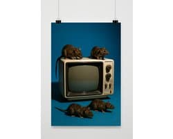 Ratten Poster - Fotografie Posters - Dieren - Televisie - Vintage - Wanddecoratie Woonkamer - 180 gram papier - L6942WV - Formaat 70 x 100cm
