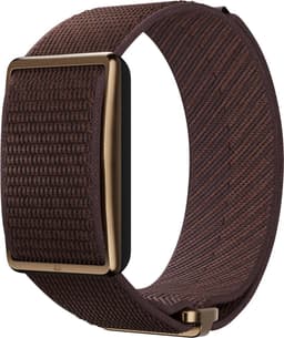 Polar Loop Bruin — thumbnail 1
