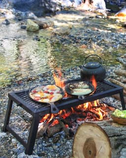 Kampvuur Grill Rooster Large - Inclusief Opbergtas En Kip Spies - Kip Grillen - Camping & Outdoor — thumbnail 4