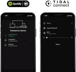 WiiM: Mini audiostreamer — thumbnail 3