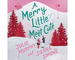 A Merry Little Meet Cute