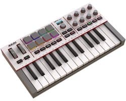 AKAI Professional MPK mini IV Gray - Midi Keyboard