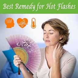 Opvouwbare handventilator voor dames - elegante bamboe zijden ventilator voor hete dagen, feesten en decoratie — thumbnail 5