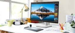 LG UltraFine 27US500 - 4K IPS Monitor - Geschikt voor Grafisch Ontwerp - 27 Inch — thumbnail 6