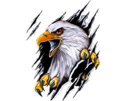 Auto sticker - Eagle sticker - 2 stuks - 18*24 cm - Sportauto Stickers - UV- en Waterproof - Plakstickers - Sportauto Stickers - Laptop Stickers - dier sticker - voor body hood woondecoratie creatieve auto sticker - Eén links en één rechts