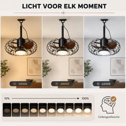 Rosnek Outdoor Plafondventilator met Lamp Ø 50 cm - IP65 Waterdichte Tuinventilator Dimbare - Plug-in Hangende Ventilatorlamp voor Overkapping - App & Afstandsbediening - Stille DC-Motor 6 Snelheden - Voor Gazebo - Zwart — thumbnail 4