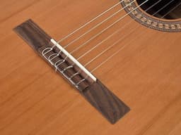 Salvador Cortez CC-22 klassieke gitaar met massief ceder bovenblad — thumbnail 3