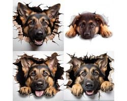Herder - 4 in 1 Stickers - 17x17 cm - Toiletstickers - Muurstickers - Huisdecoratie - Laptop/Tablet - Auto - Vrachtwagen - Kinderkamer - Verwijderbare Stickers