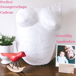 Gipsbuik Pakket – Met 3 Sjablonen en 12 Kleuren Verf – 4 Rollen Extra Groot en Sterk Gipsverband – Niet Toxisch- Baby Buik Zwanger — thumbnail 4