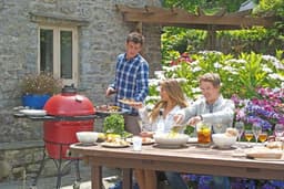 Kamado Joe® Classic I Houtskoolgrill – Keramische Kamado BBQ 46 cm met Onderstel — thumbnail 4