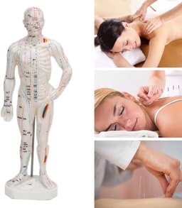 Dailygoods - Dailygoody - Lichaamsacupunctuurmodel - Professioneel meridiaanpuntenmodel - Onderwijs en massage - 33 x 16 x 6 cm - Acupunctuurmodel - Geschikt voor — thumbnail 4