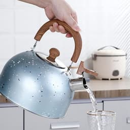 Vintage Fluitketel van RVS, Retro Theepot met Fluitfunctie, Duurzame Waterkoker voor Perfecte Thee en Koffie — thumbnail 5