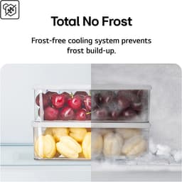 LG GSLC41EPPE - Amerikaanse Koelkast - No Frost - Water- en IJsdispenser - 641 L — thumbnail 12