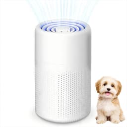HEPA Luchtreiniger - Wit - 12 x 12 x 20 cm - Compact Luchtfilter met USB-aansluiting en Aromatherapie - Voor Allergieën en Huisdiereigenaren — thumbnail 1