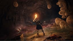 Elden Ring - PS5 — thumbnail 9