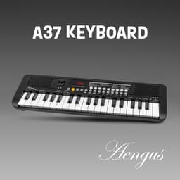 Áengus Keyboard Piano Keyboard Kind met 37 toetsen - Aanslaggevoelige Toetsen - USB-C MIDI - Zwart — thumbnail 2