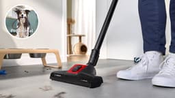 Bosch ProAnimal BGS7PET1 Serie 8 - Stofzuiger zonder zak - Rood — thumbnail 4