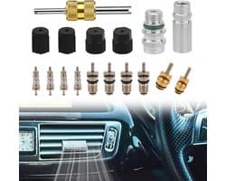 17-delige Airconditioning Ventielkern Kit voor R12 of R134A, Teflon Afsluitingen voor A/C Service en HVAC Systemen met Demontagetools en Sealing Caps