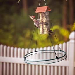stuks vogelzaadbakken met 8 haken, hangende vogelzaadweegschaalhouder, platformvoederbak om vogels aan te trekken, buiten, achtertuin, huis, tuin — thumbnail 2