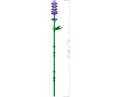 LEGO Botanicals - Madeliefjes Constructiespeelgoed — thumbnail 5