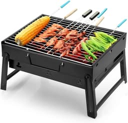 Florixa® Tafel Bbq Houtskool - Weber Bbq -Boretti Bbq - Houtskool - Zwart - 27cm x 35cm x 24cm — thumbnail 1