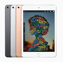 Apple iPad Mini (2019) - 7.9 inch - WiFi - 256GB - Spacegrijs - 5e generatie — thumbnail 4