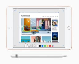 Apple iPad Mini (2019) - 7.9 inch - WiFi - 256GB - Goud - 5e generatie — thumbnail 5