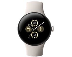 Google Pixel Watch 2 LTE - smartwatch, Polished Silver