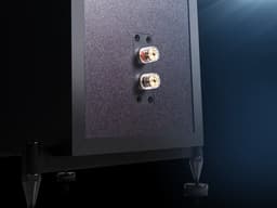 Wharfedale Diamond 12.3i Vloerstaande Speaker – Krachtige Bas – 2,5-weg – 130mm Driver – 38Hz-20kHz – Passieve Speaker – Zwart — thumbnail 4