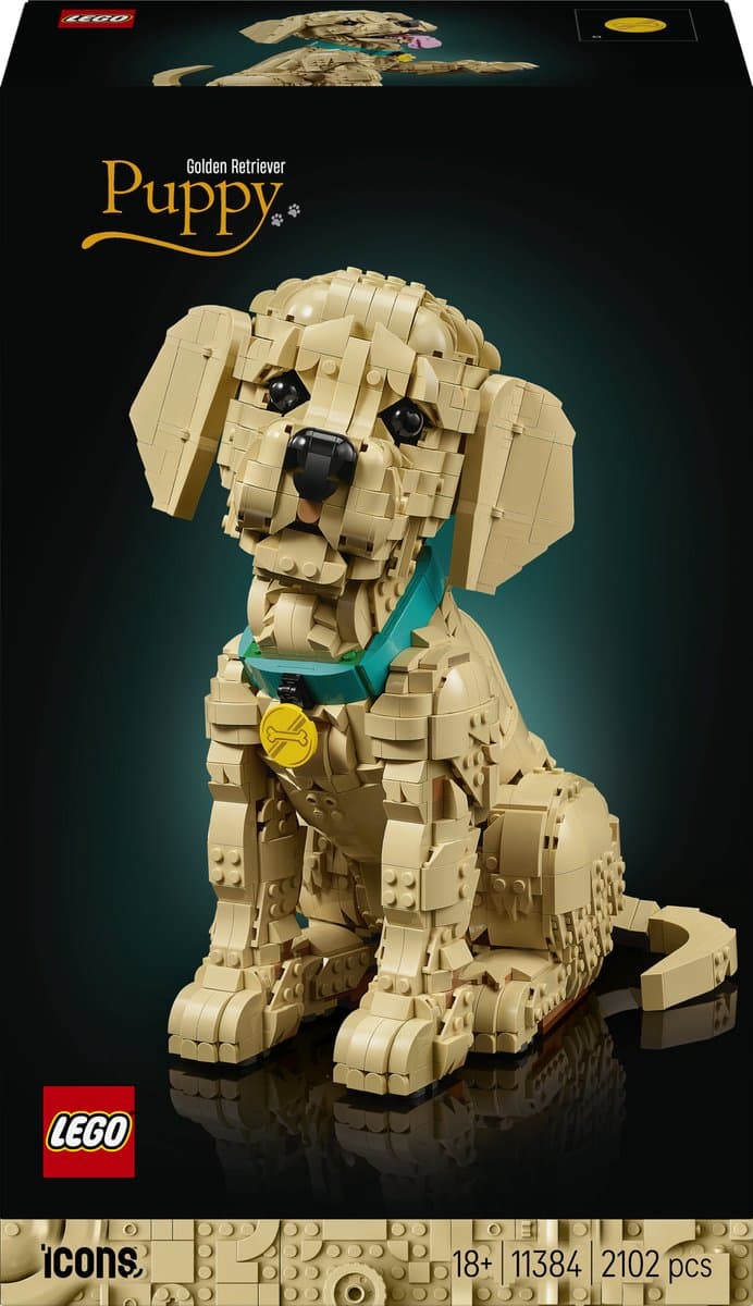 Lego Icons 11384 - Golden Retriever Puppy Bouwstenen — afbeelding 1