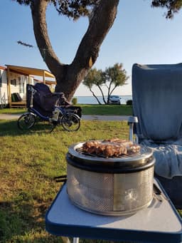 Cobb Premier Barbecue Bundelset - Houtskoolbarbecue - Inclusief Quick Koko Grillbricks 8 st. - Compact - Ø 30 cm — thumbnail 5