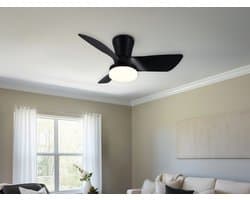 REALITY RANDERS - Ventilator - Zwart mat - incl. 1x SMD 20 W - Afstandsbediening - Geintegreerde dimmer - Traploos instelbare lichtkleur - Dimbaar met schakelaar - Niet externe dimbaar - Geheugenfunctie - Zomer- en wintermodus - 6 snelheidsniveaus — afbeelding 1
