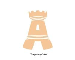 The Avengers and New Avengers Collectibles