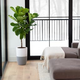 Stil, slim, stijlvol: Dupray Bloom luchtreiniger én plantenbak met medisch HEPA filter — thumbnail 2