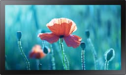 Samsung 13" Touch Display QBR-TM — thumbnail 2